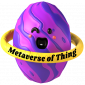 Metaverse of Things